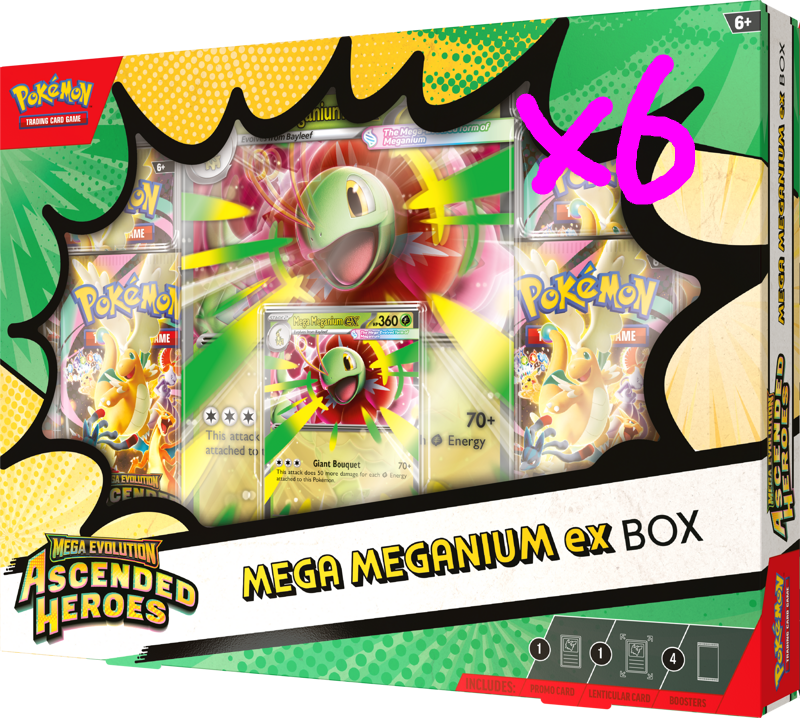 Pokemon: Ascended Heroes - Mega Meganium EX Collection Box (Case of 6)