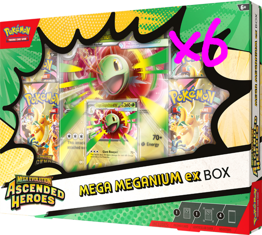 Pokemon: Ascended Heroes - Mega Meganium EX Collection Box (Case of 6)